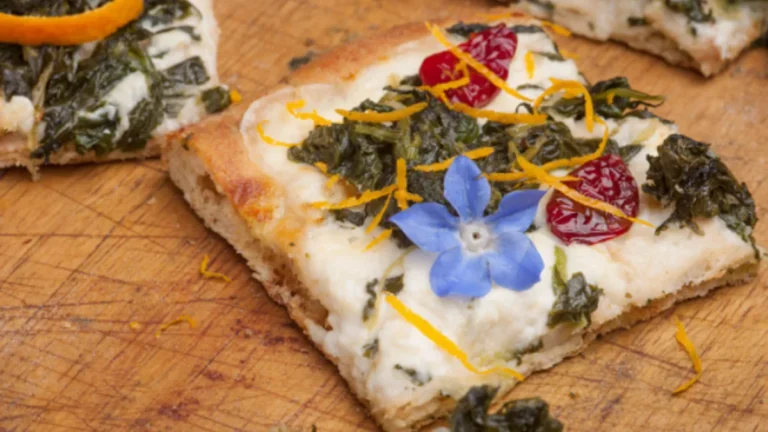 Pizza in Teglia ad Alta Idratazione con Farina Perciasacchi — Molino Latina